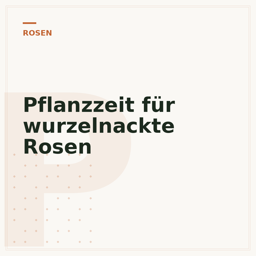 Pflanzzeit für wurzelnackte Rosen