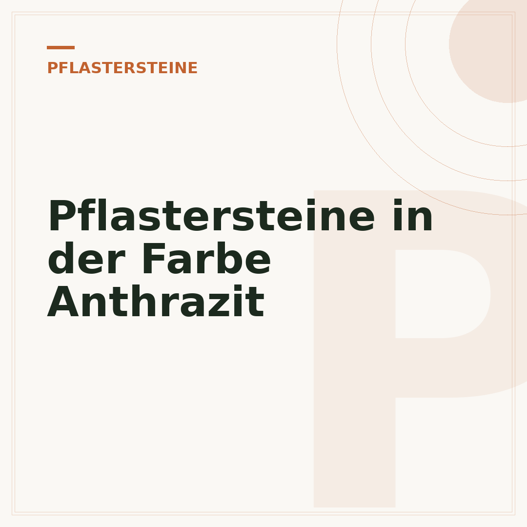 Pflastersteine in der Farbe Anthrazit