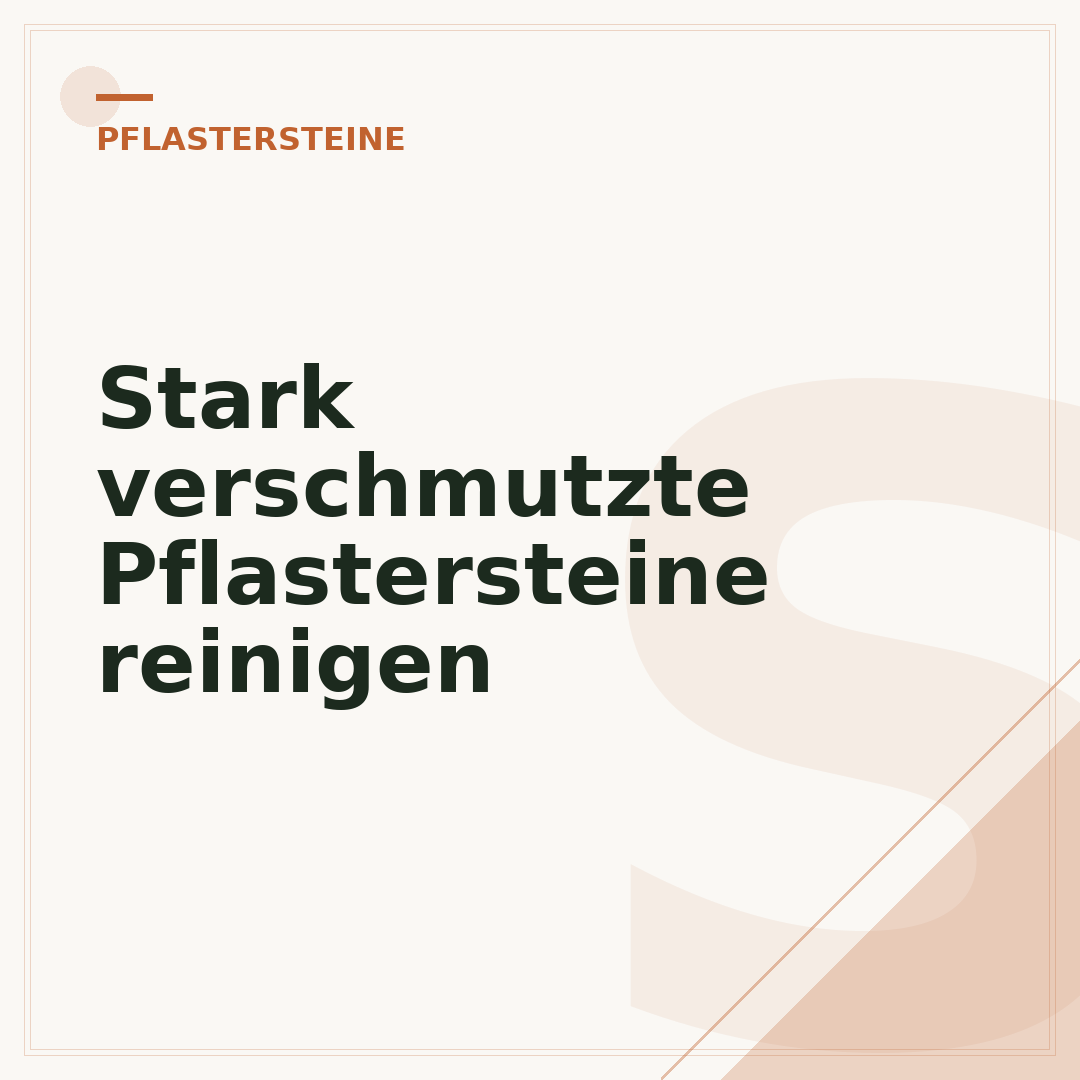 Stark verschmutzte Pflastersteine reinigen