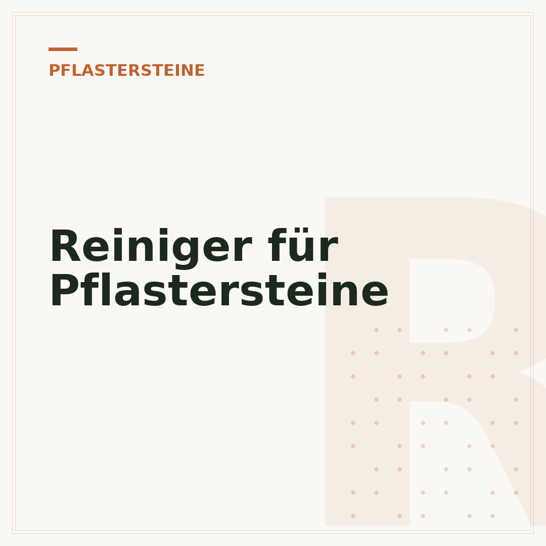 Reiniger für Pflastersteine