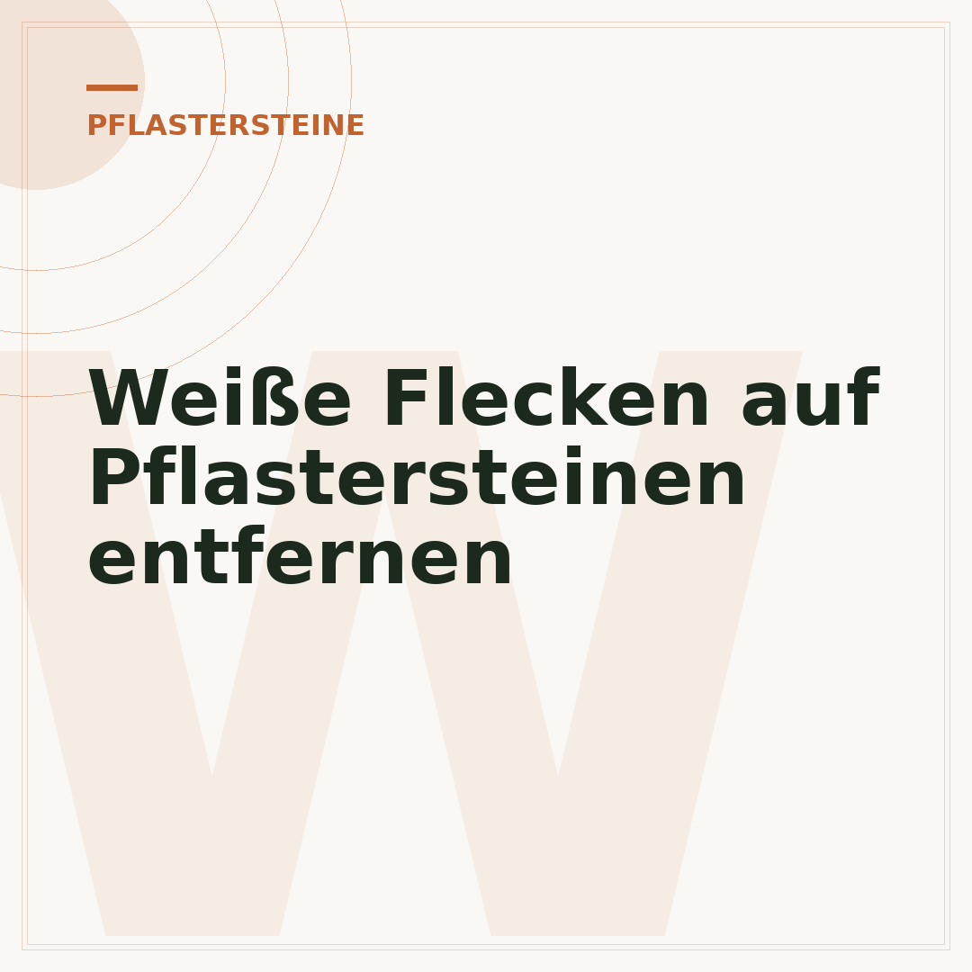 Weiße Flecken auf Pflastersteinen entfernen