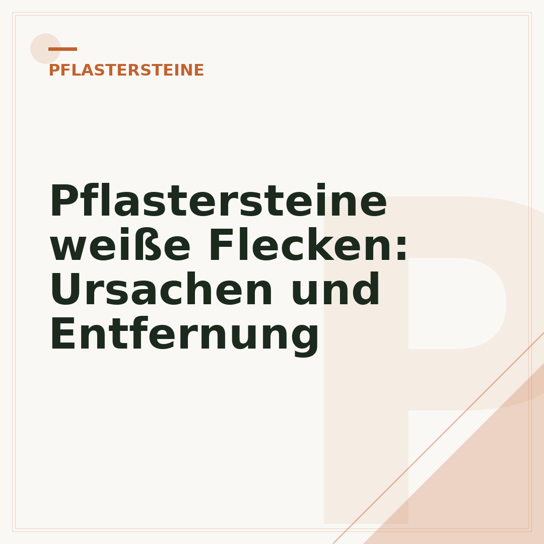 Pflastersteine weiße Flecken: Ursachen und Entfernung