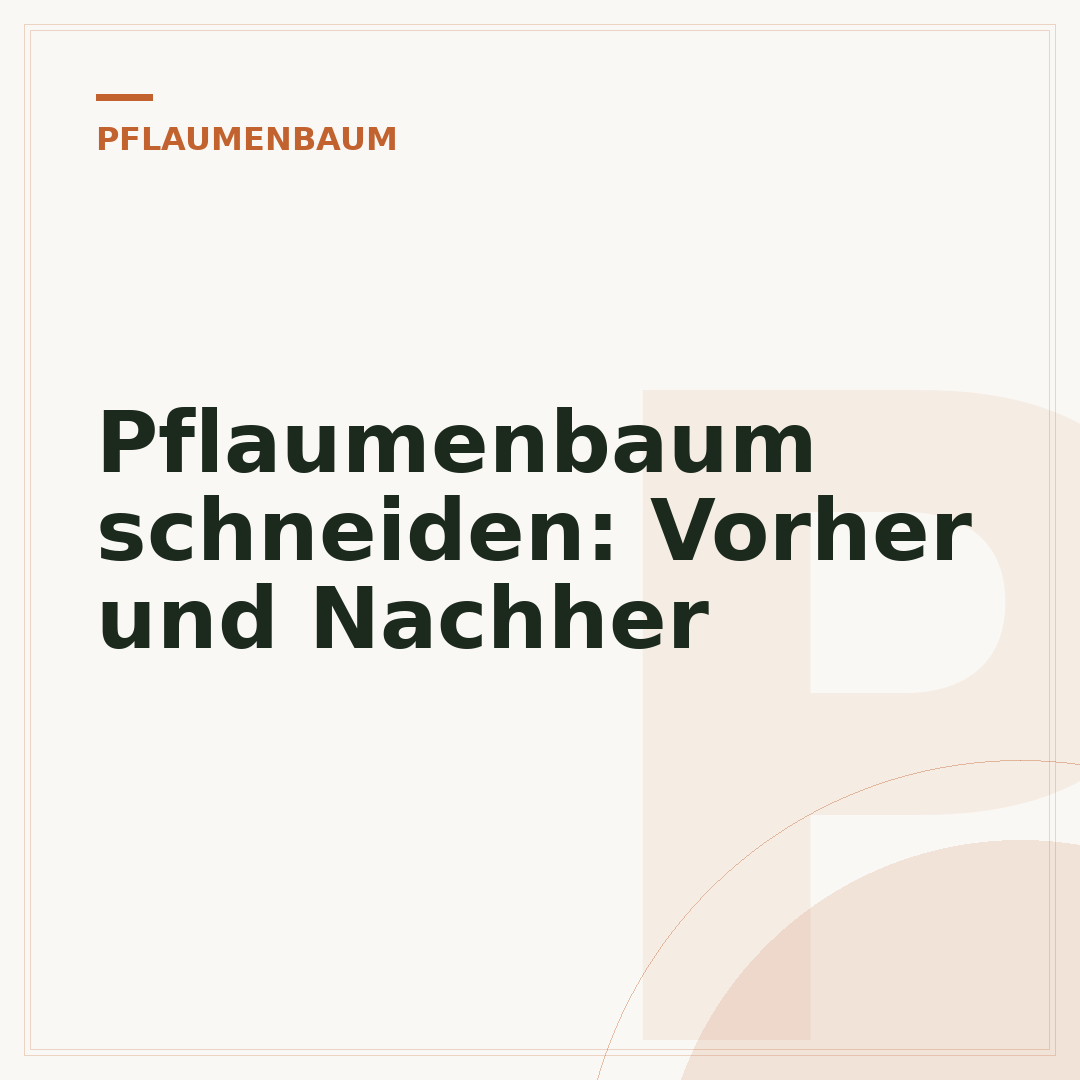 Pflaumenbaum schneiden: Vorher und Nachher