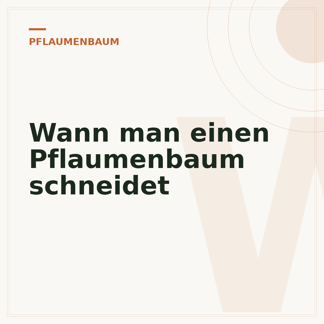 Wann man einen Pflaumenbaum schneidet