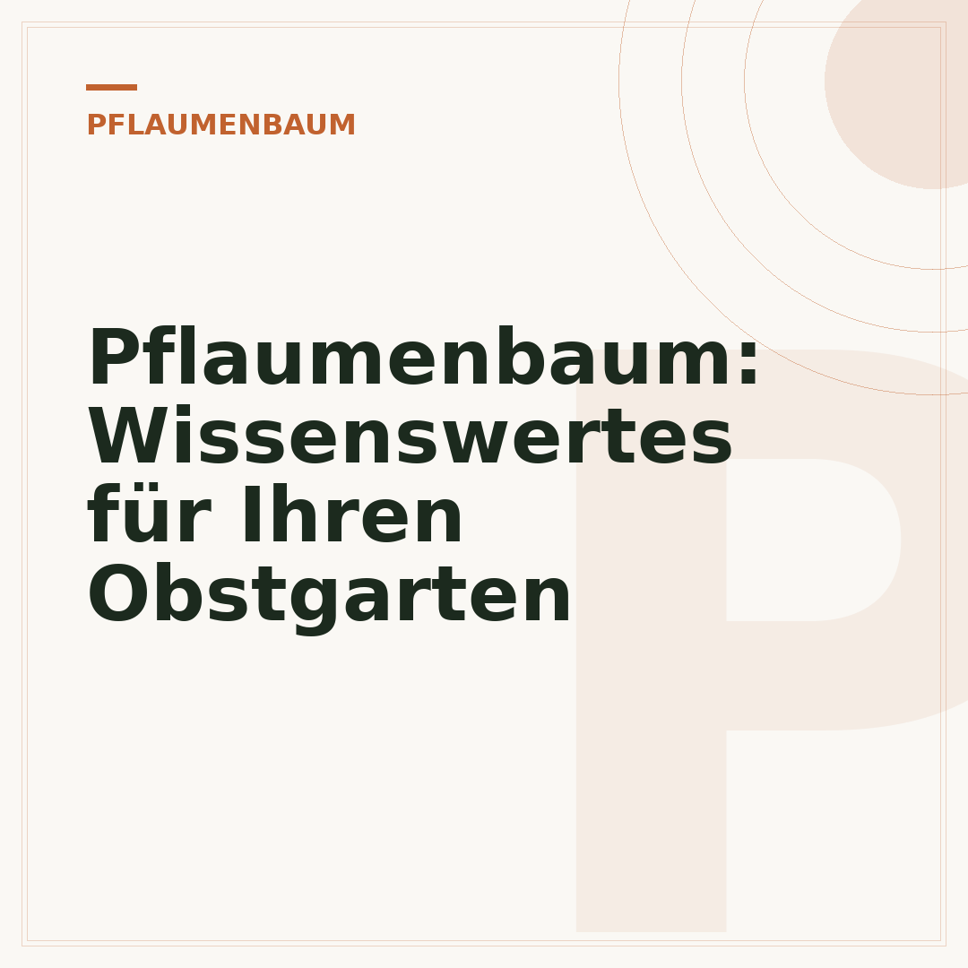 Pflaumenbaum: Wissenswertes für Ihren Obstgarten