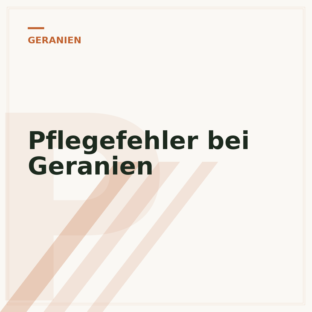 Pflegefehler bei Geranien