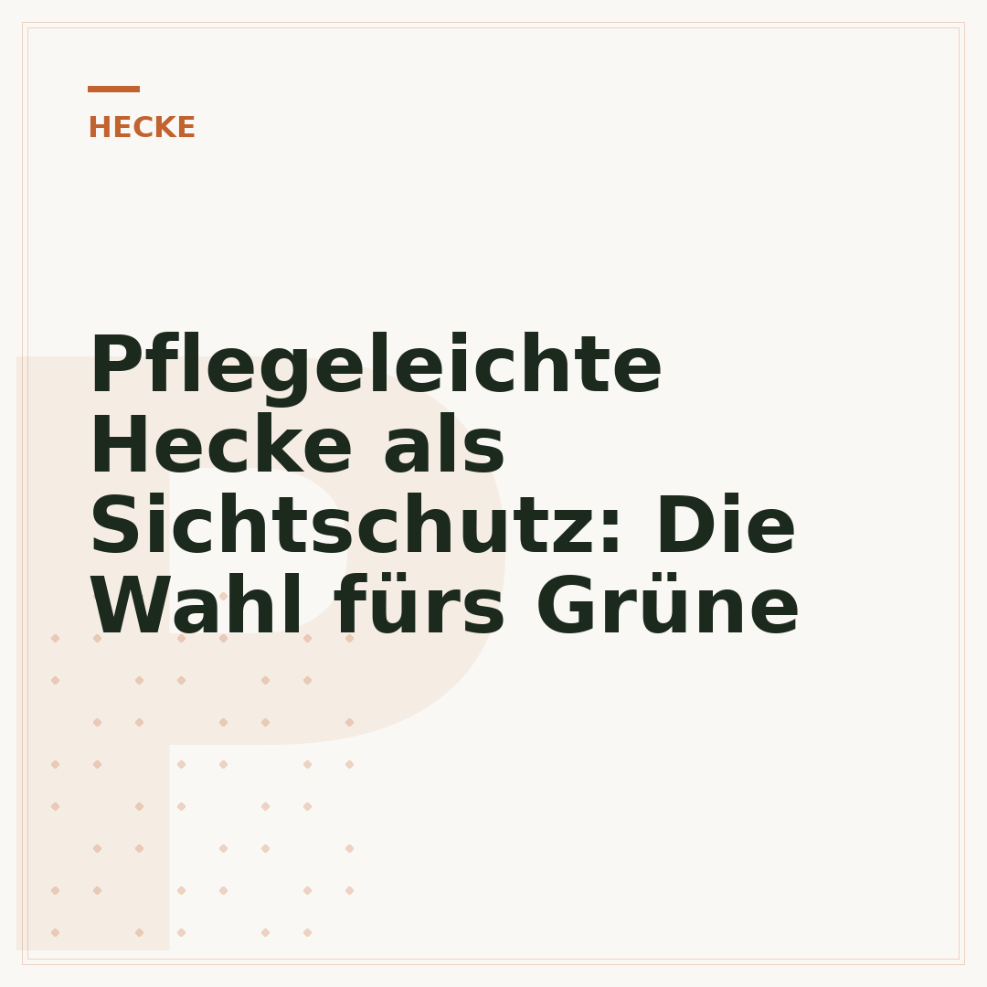 Pflegeleichte Hecke als Sichtschutz: Die Wahl fürs Grüne