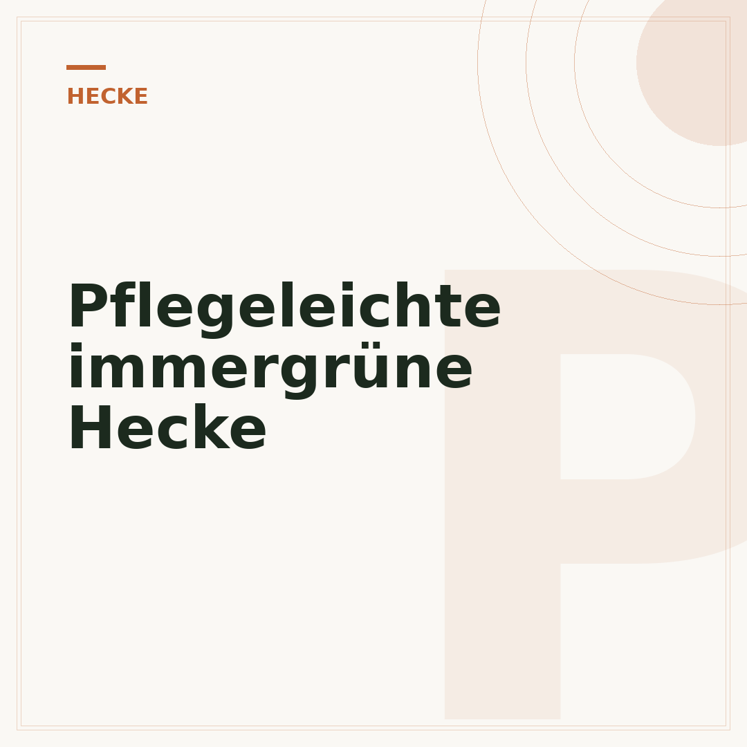 Pflegeleichte immergrüne Hecke