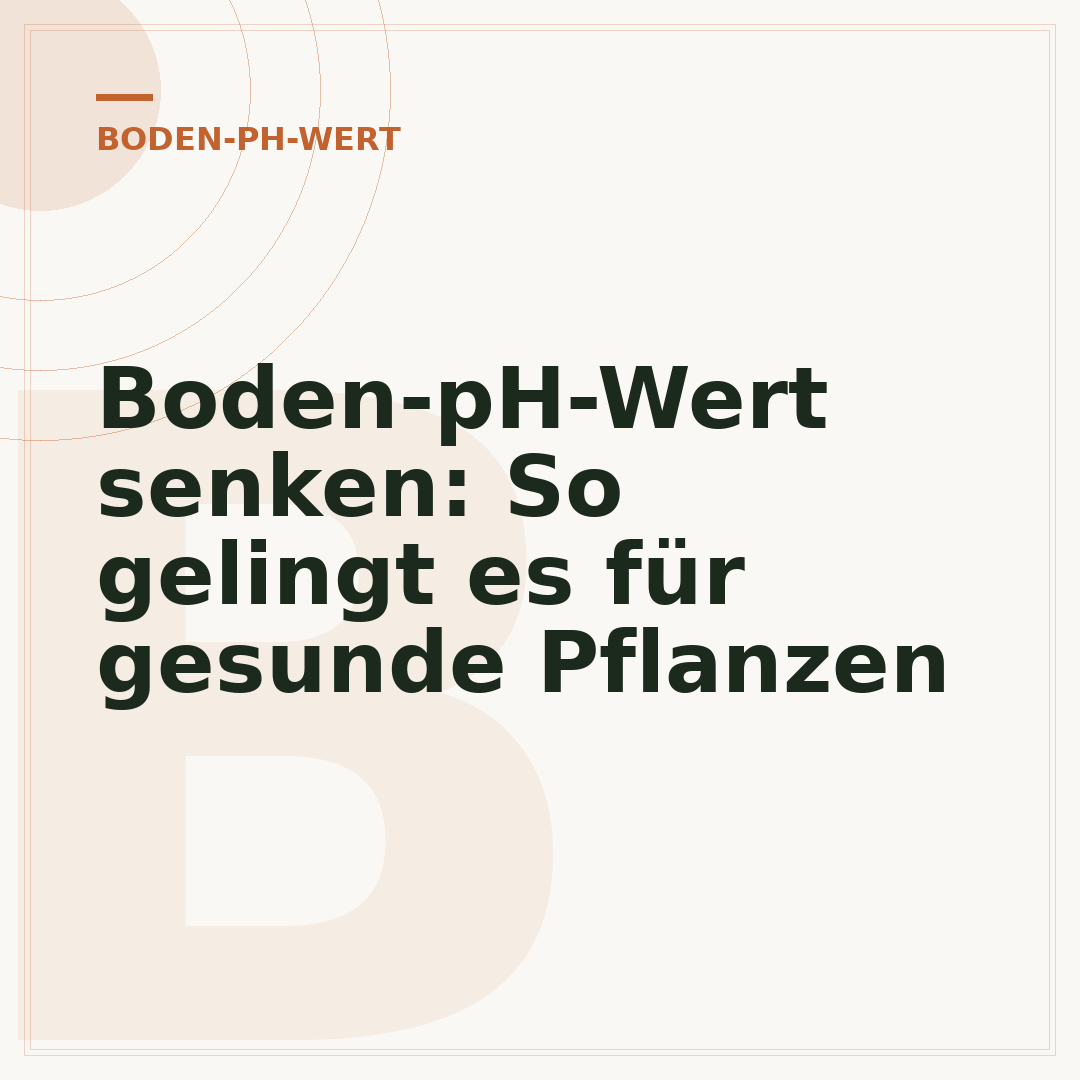 Boden-pH-Wert senken: So gelingt es für gesunde Pflanzen