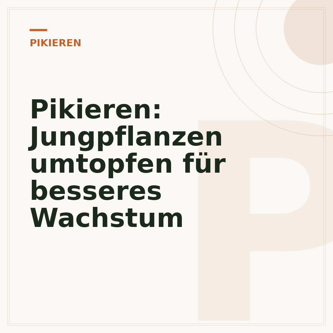 Pikieren: Jungpflanzen umtopfen für besseres Wachstum