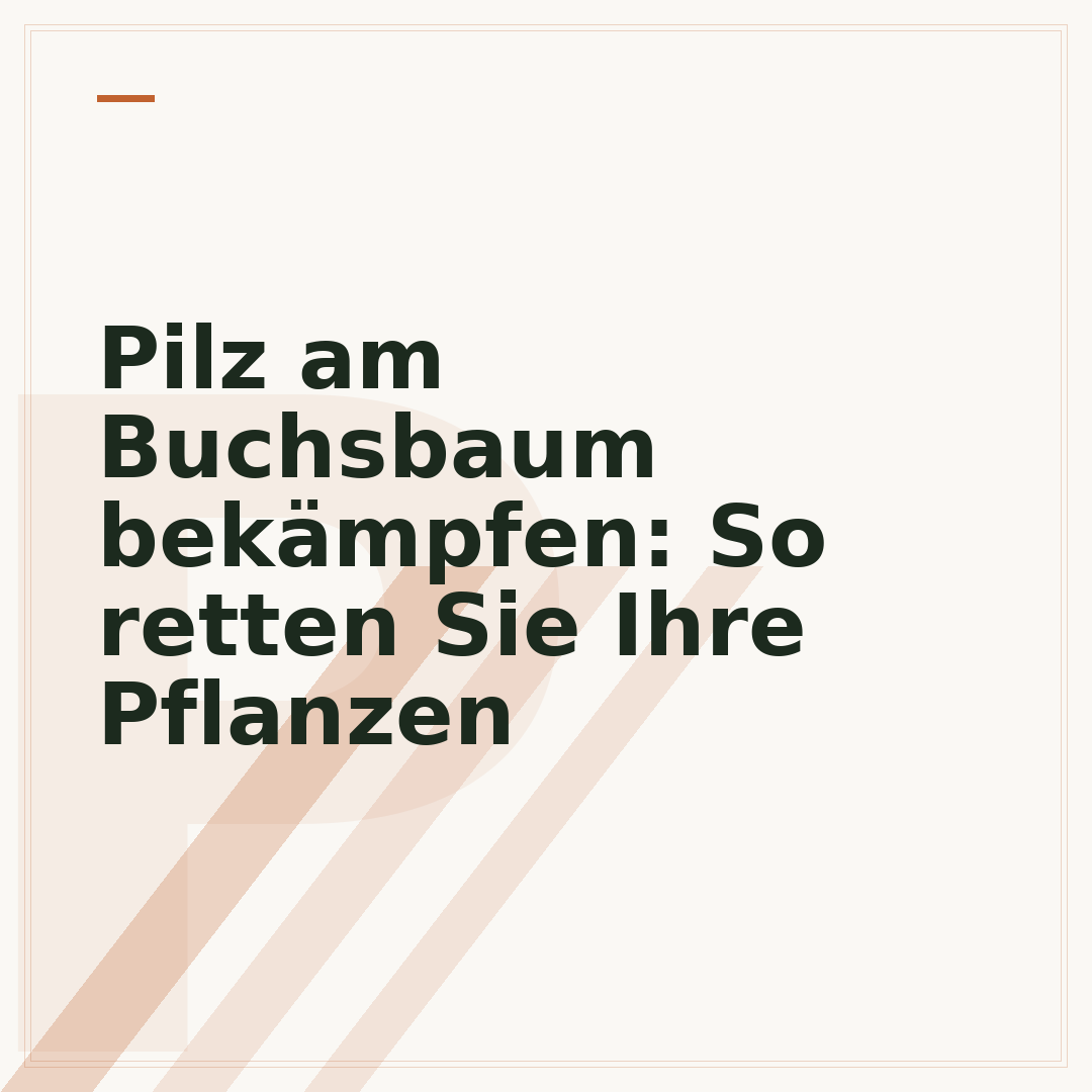 Pilz am Buchsbaum bekämpfen: So retten Sie Ihre Pflanzen