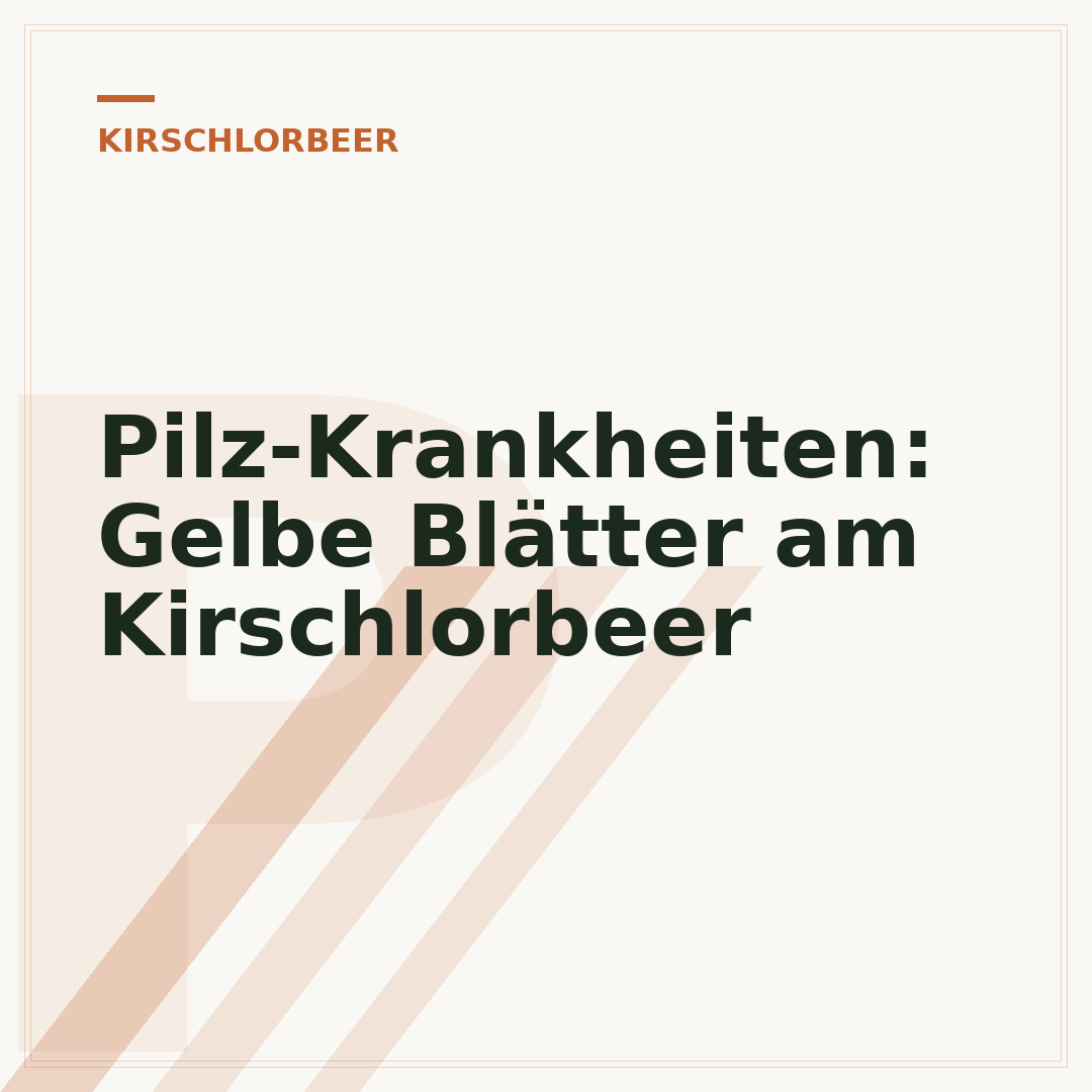 Pilz-Krankheiten: Gelbe Blätter am Kirschlorbeer