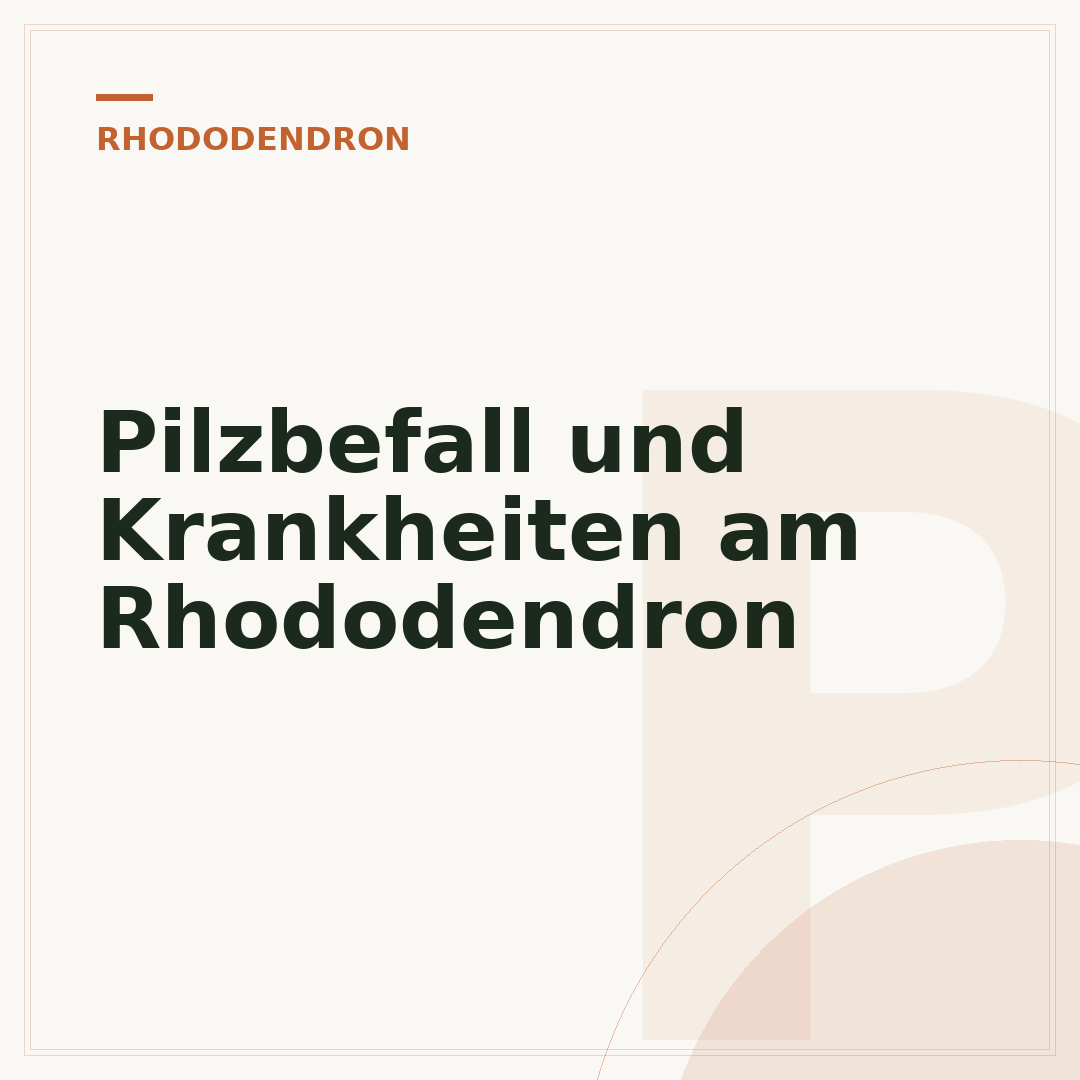 Pilzbefall und Krankheiten am Rhododendron