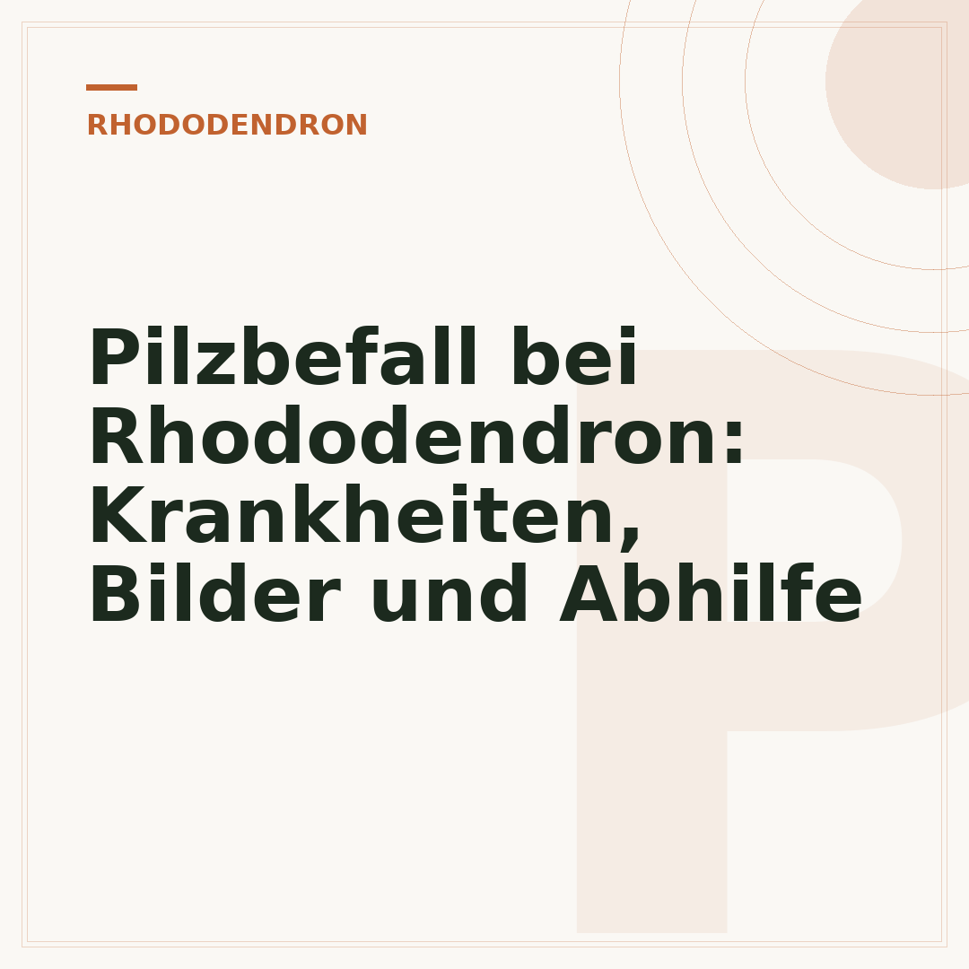 Pilzbefall bei Rhododendron: Krankheiten, Bilder und Abhilfe