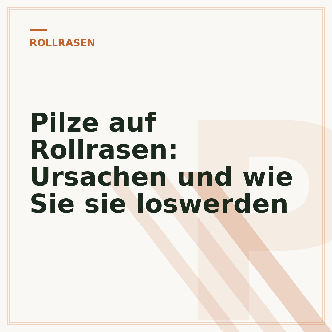 Pilze auf Rollrasen: Ursachen und wie Sie sie loswerden