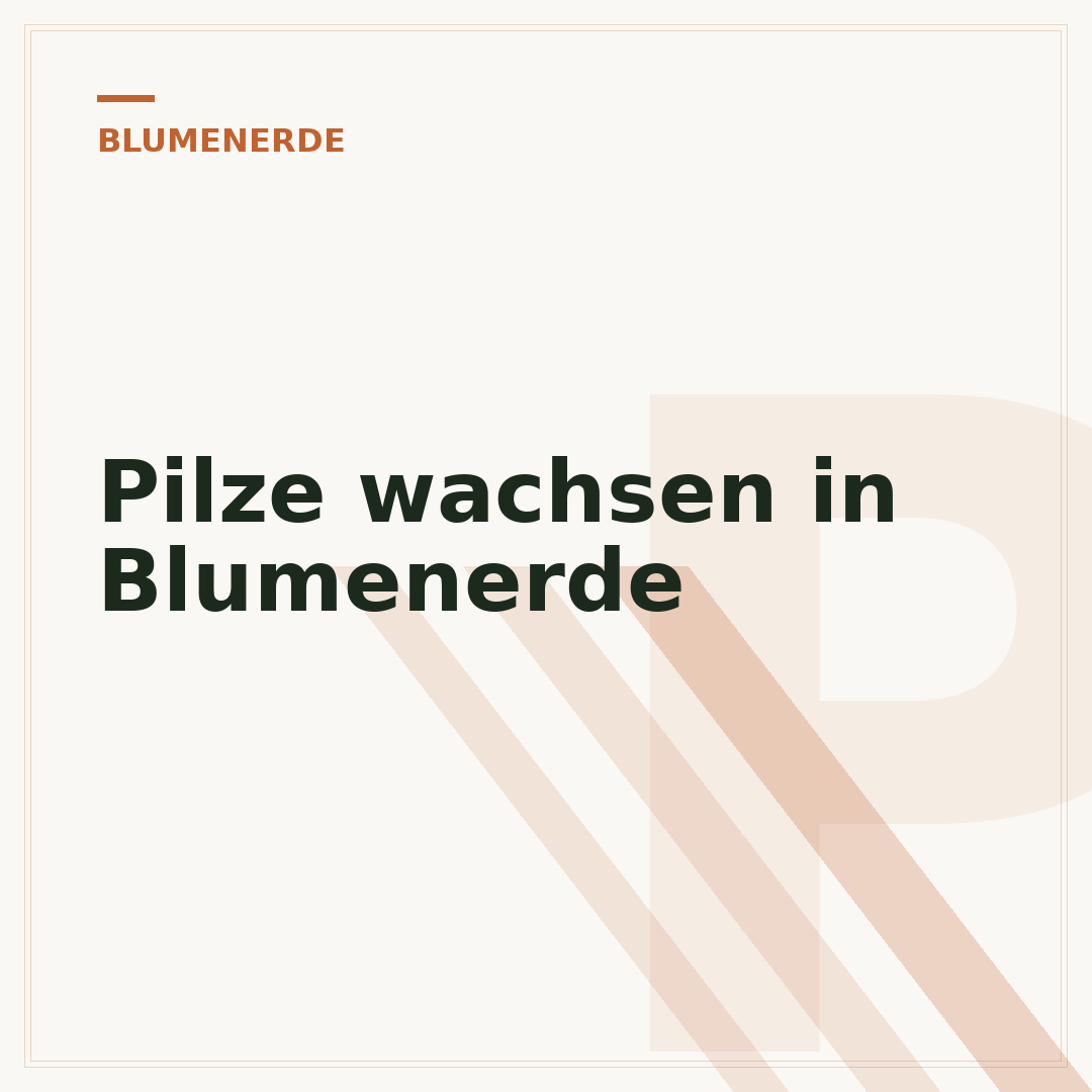 Pilze wachsen in Blumenerde