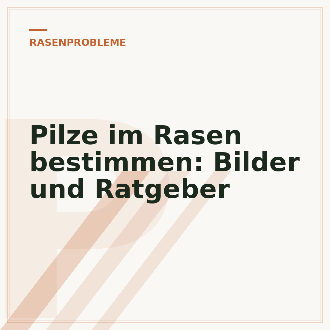 Pilze im Rasen bestimmen: Bilder und Ratgeber