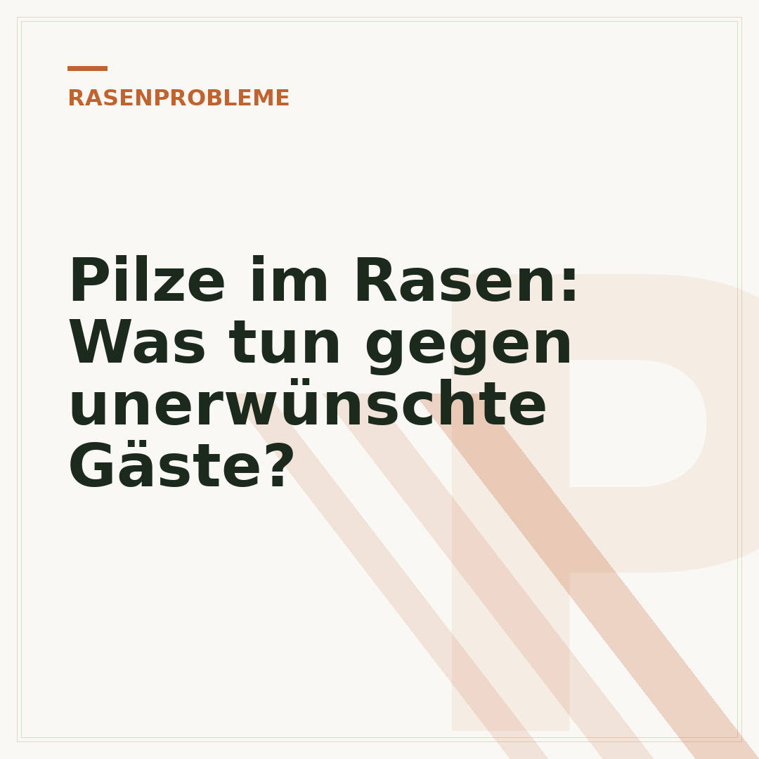 Pilze im Rasen: Was tun gegen unerwünschte Gäste?