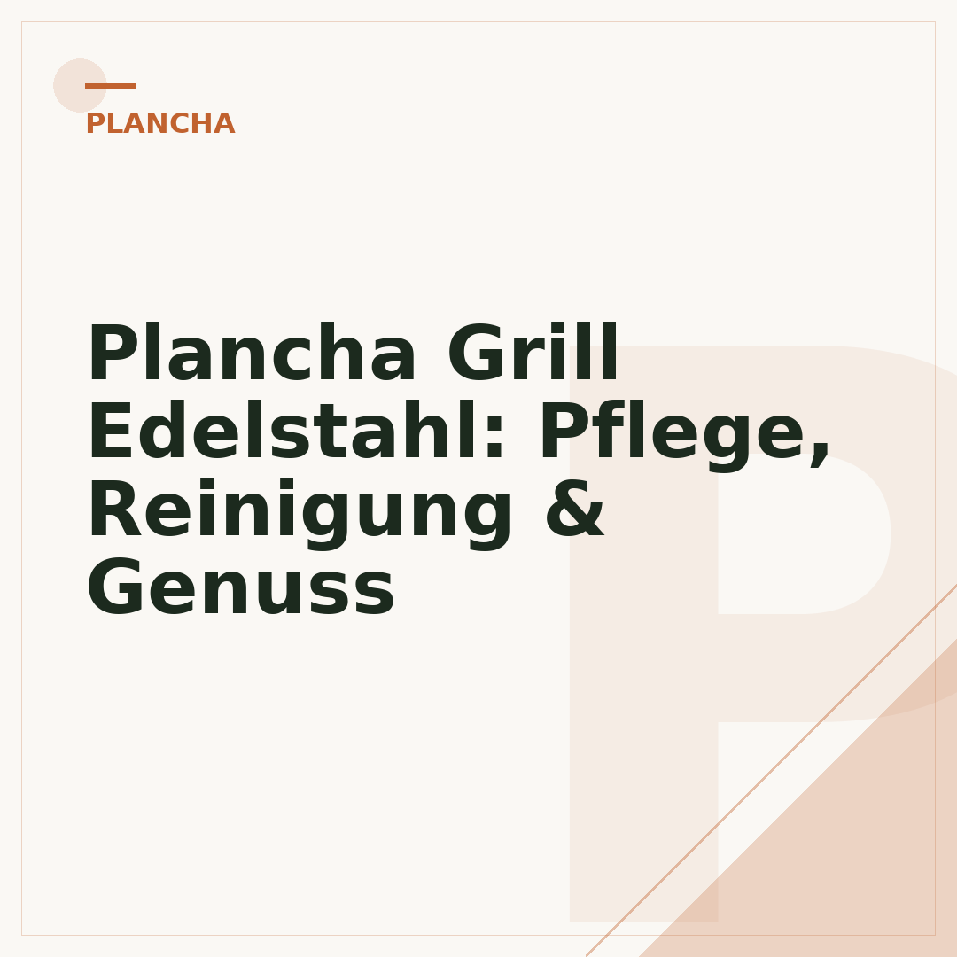 Plancha Grill Edelstahl: Pflege, Reinigung & Genuss