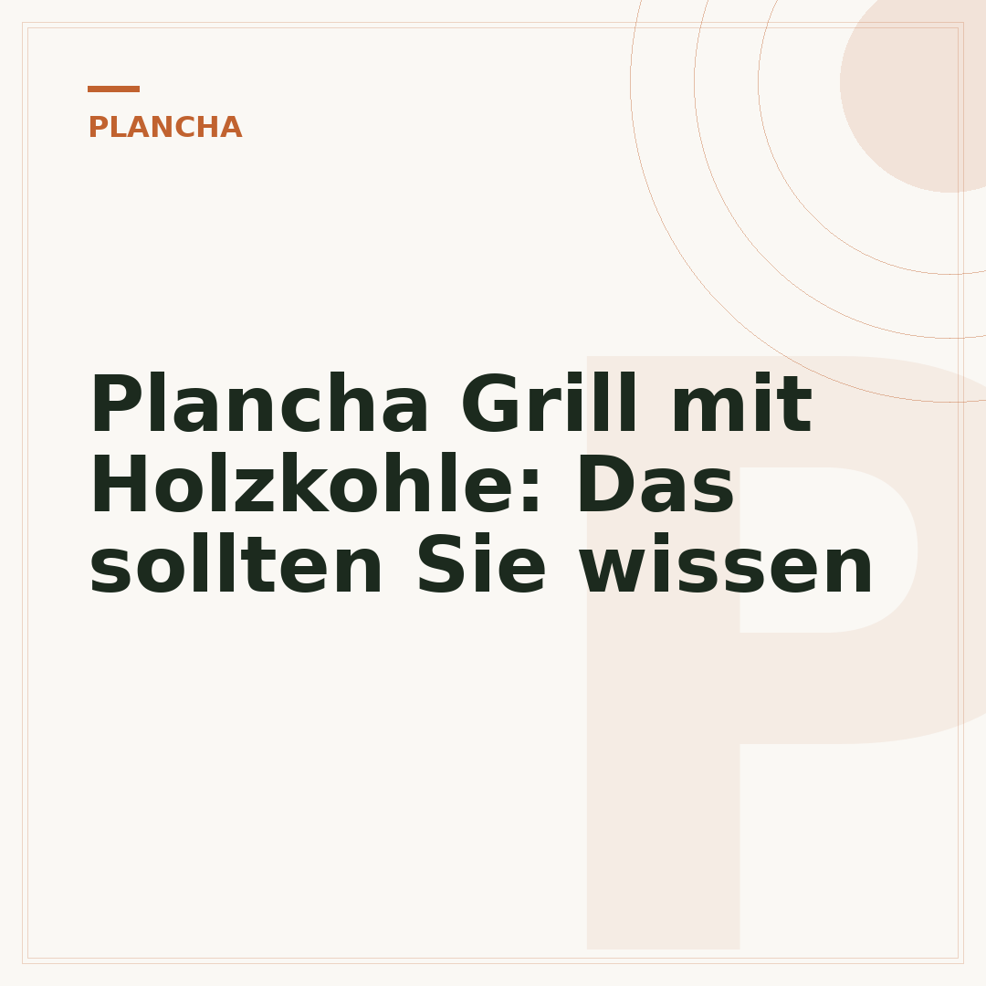 Plancha Grill mit Holzkohle: Das sollten Sie wissen