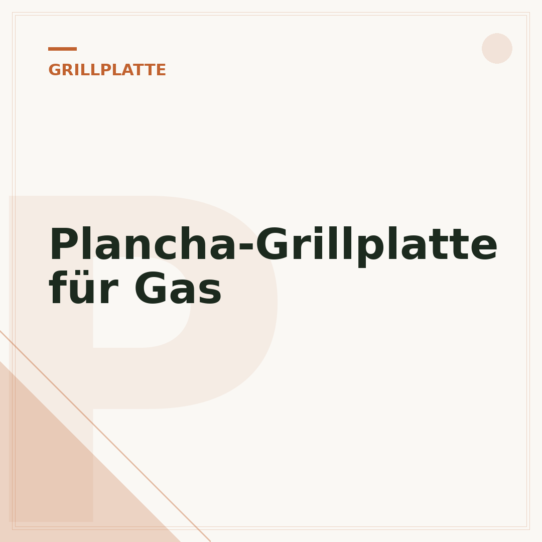Plancha-Grillplatte für Gas