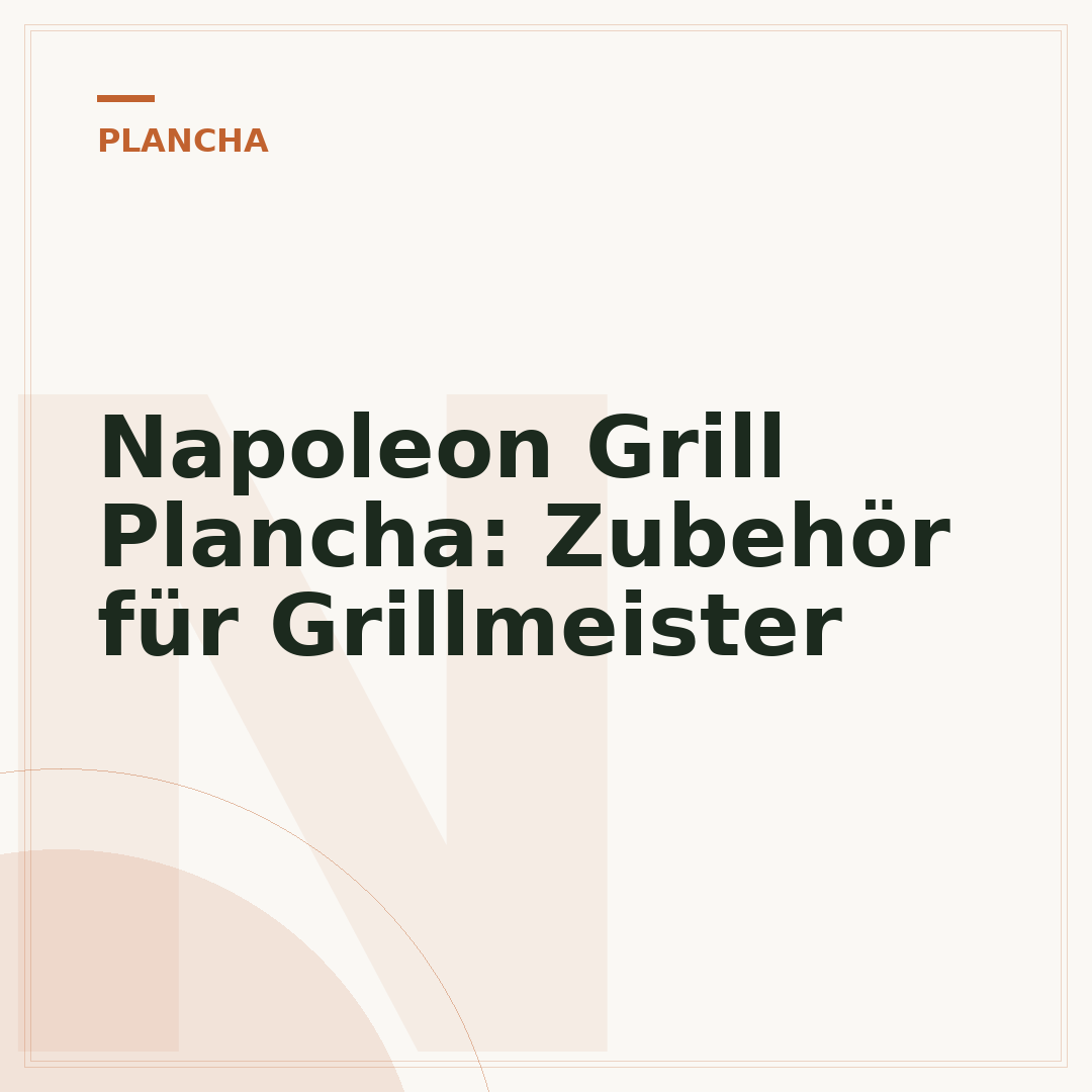 Napoleon Grill Plancha: Zubehör für Grillmeister