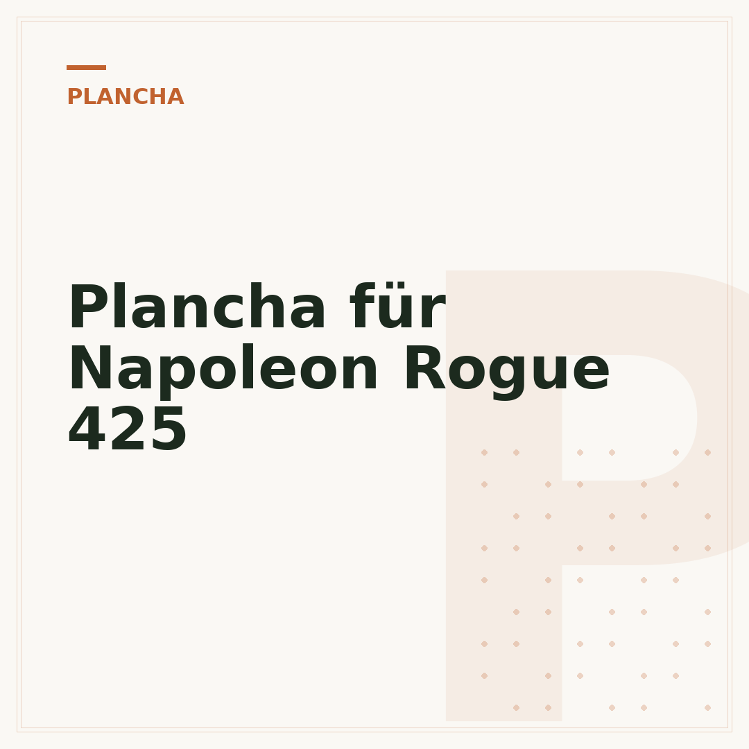 Plancha für Napoleon Rogue 425