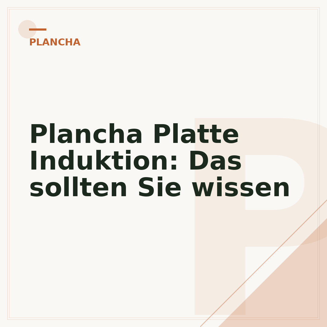 Plancha Platte Induktion: Das sollten Sie wissen