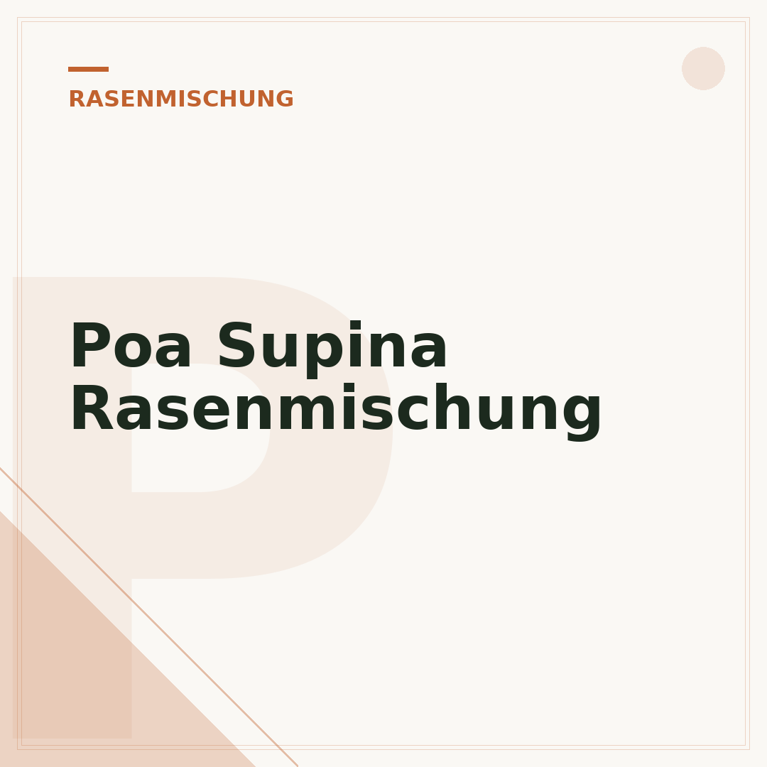 Poa Supina Rasenmischung