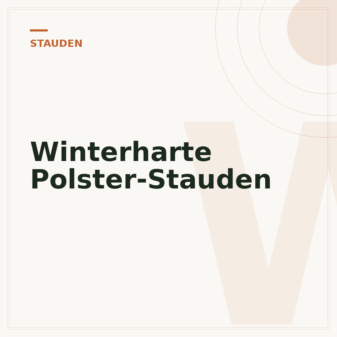 Winterharte Polster-Stauden