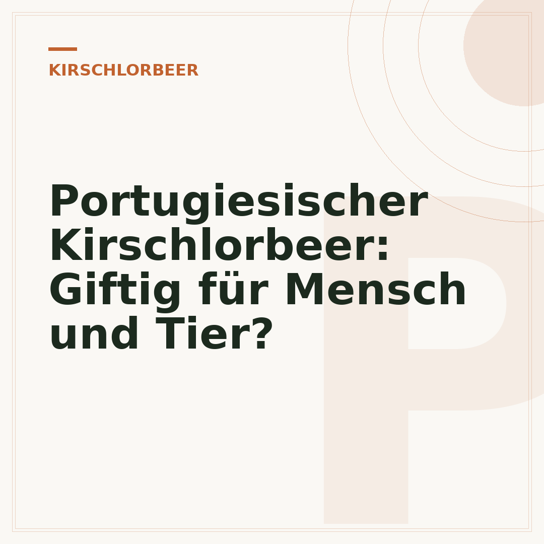 Portugiesischer Kirschlorbeer: Giftig für Mensch und Tier?