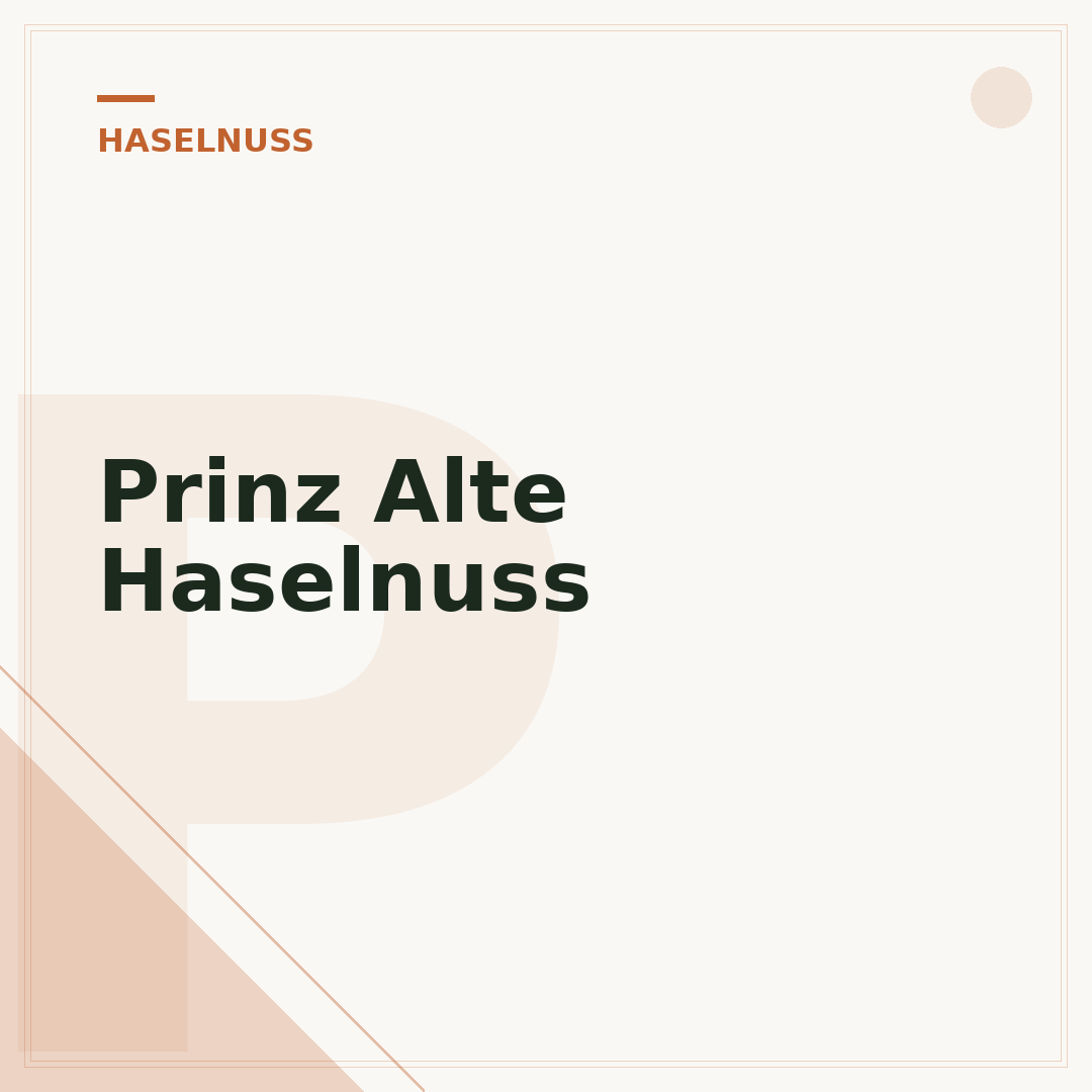 Prinz Alte Haselnuss