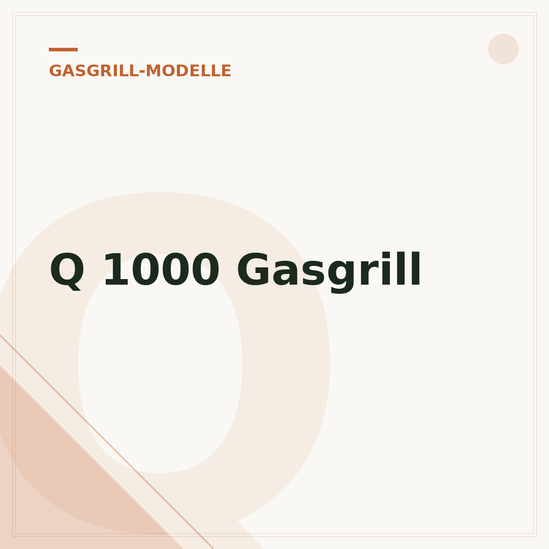 Q 1000 Gasgrill
