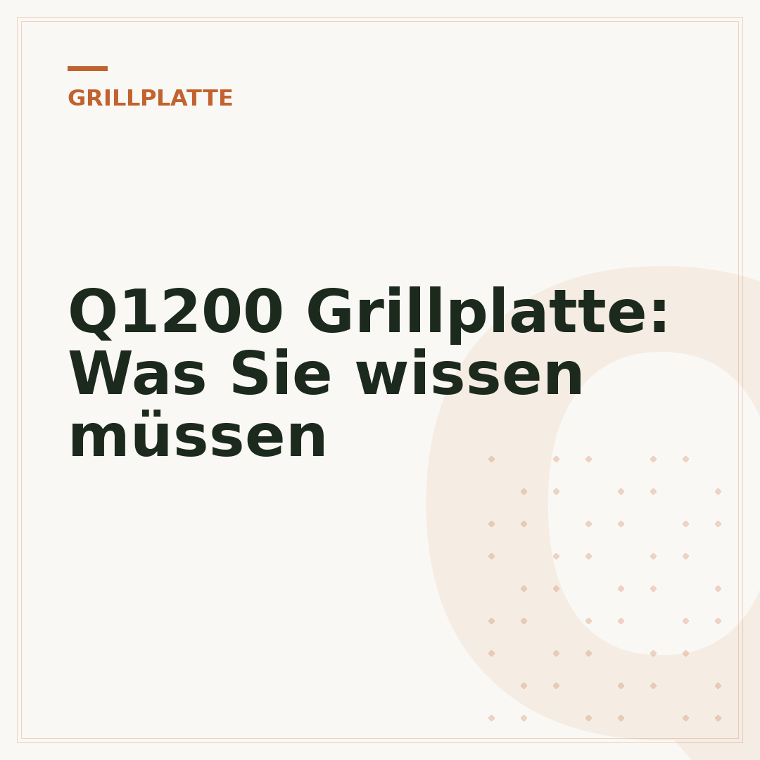 Q1200 Grillplatte: Was Sie wissen müssen