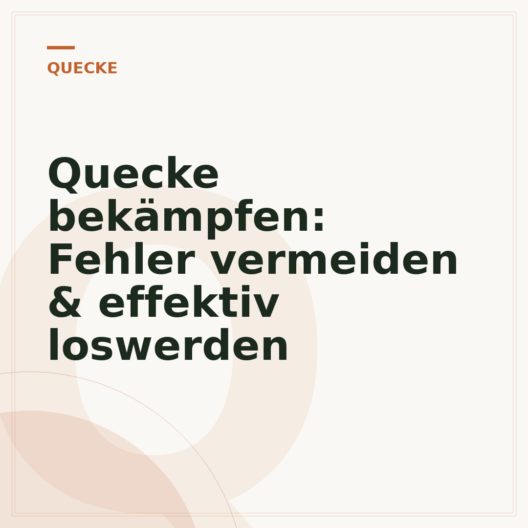 Quecke bekämpfen: Fehler vermeiden & effektiv loswerden
