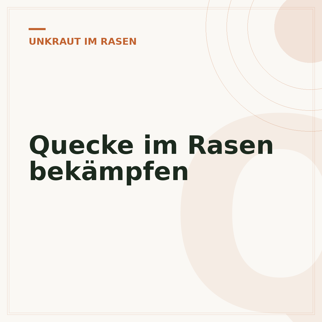 Quecke im Rasen bekämpfen