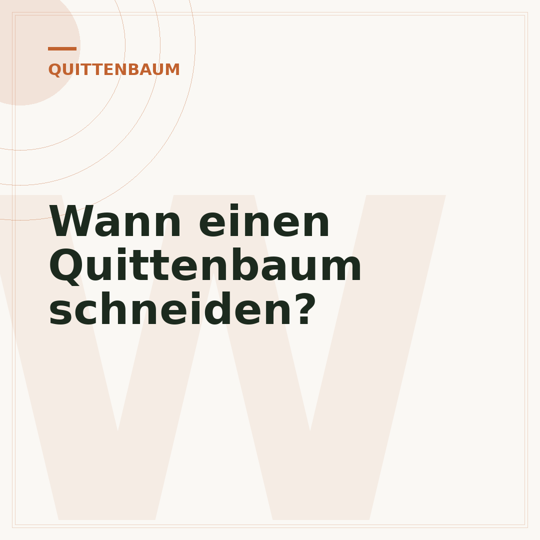 Wann einen Quittenbaum schneiden?