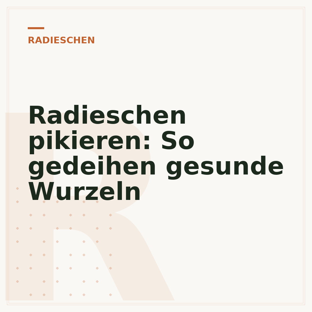 Radieschen pikieren: So gedeihen gesunde Wurzeln