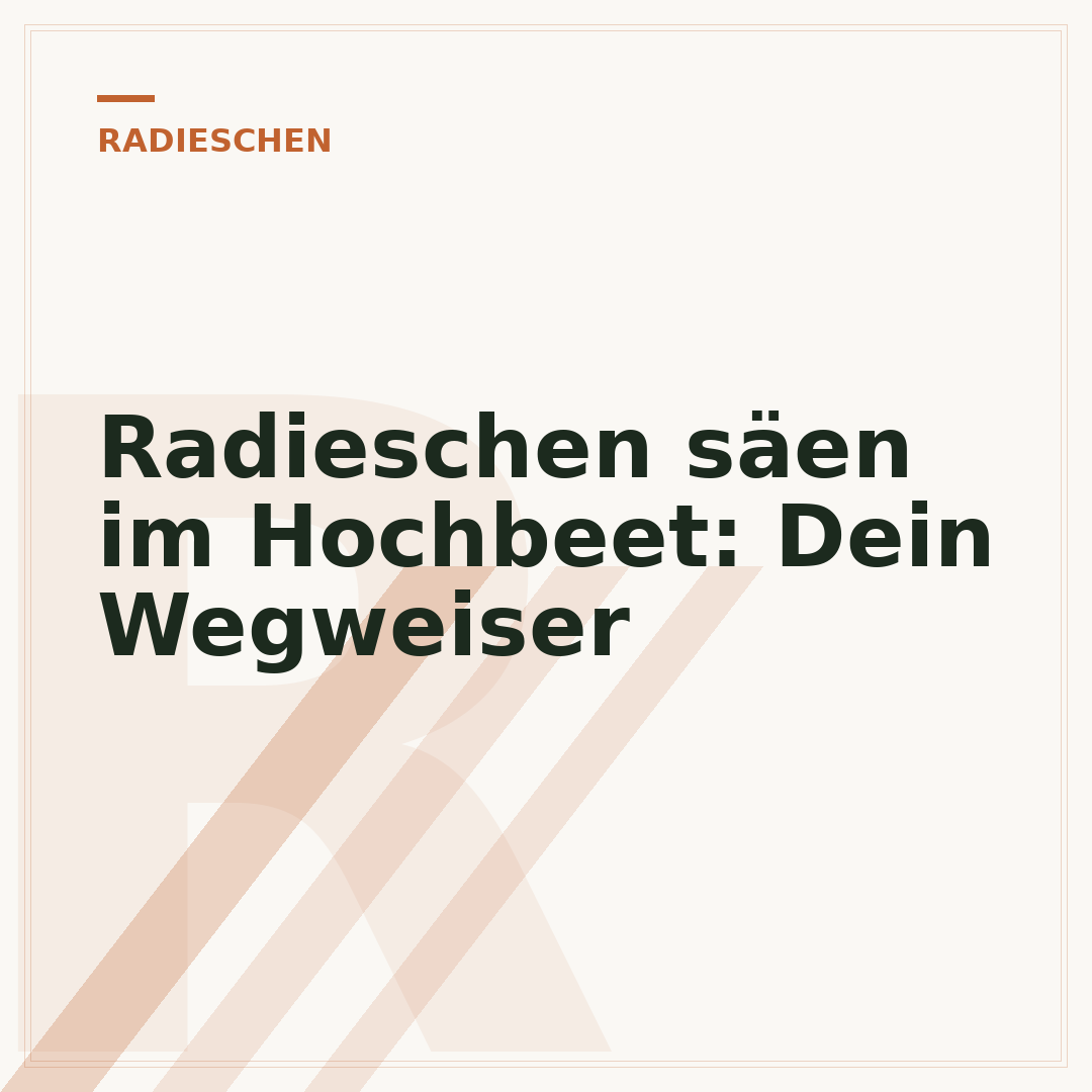 Radieschen säen im Hochbeet: Dein Wegweiser