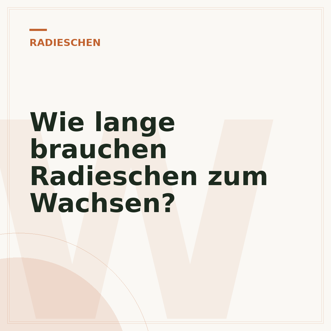 Wie lange brauchen Radieschen zum Wachsen?