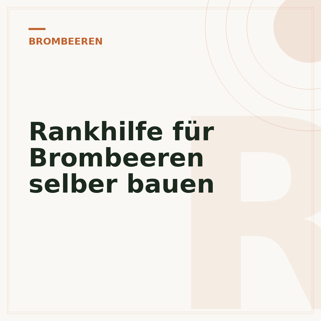 Rankhilfe für Brombeeren selber bauen
