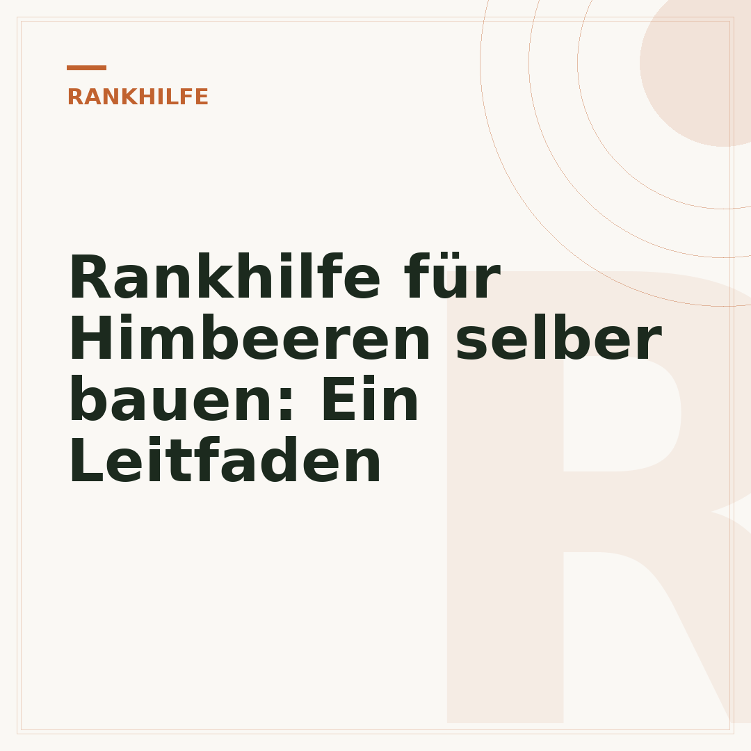 Rankhilfe für Himbeeren selber bauen: Ein Leitfaden
