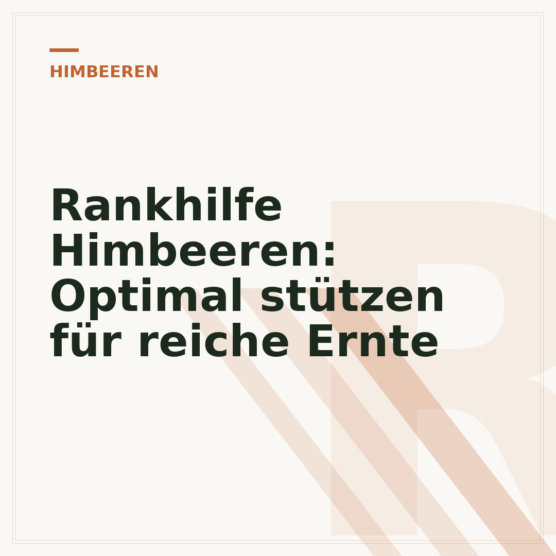 Rankhilfe Himbeeren: Optimal stützen für reiche Ernte