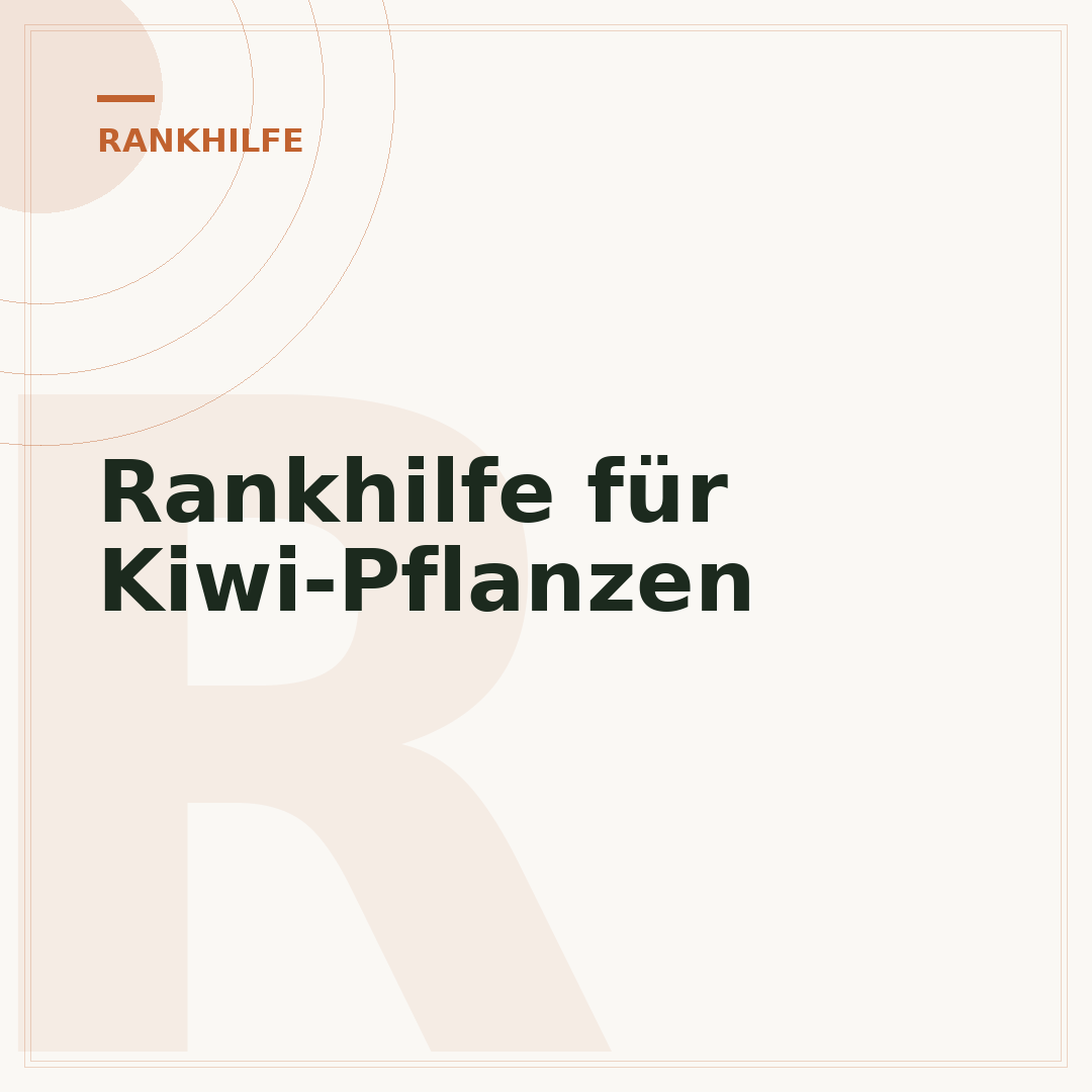 Rankhilfe für Kiwi-Pflanzen
