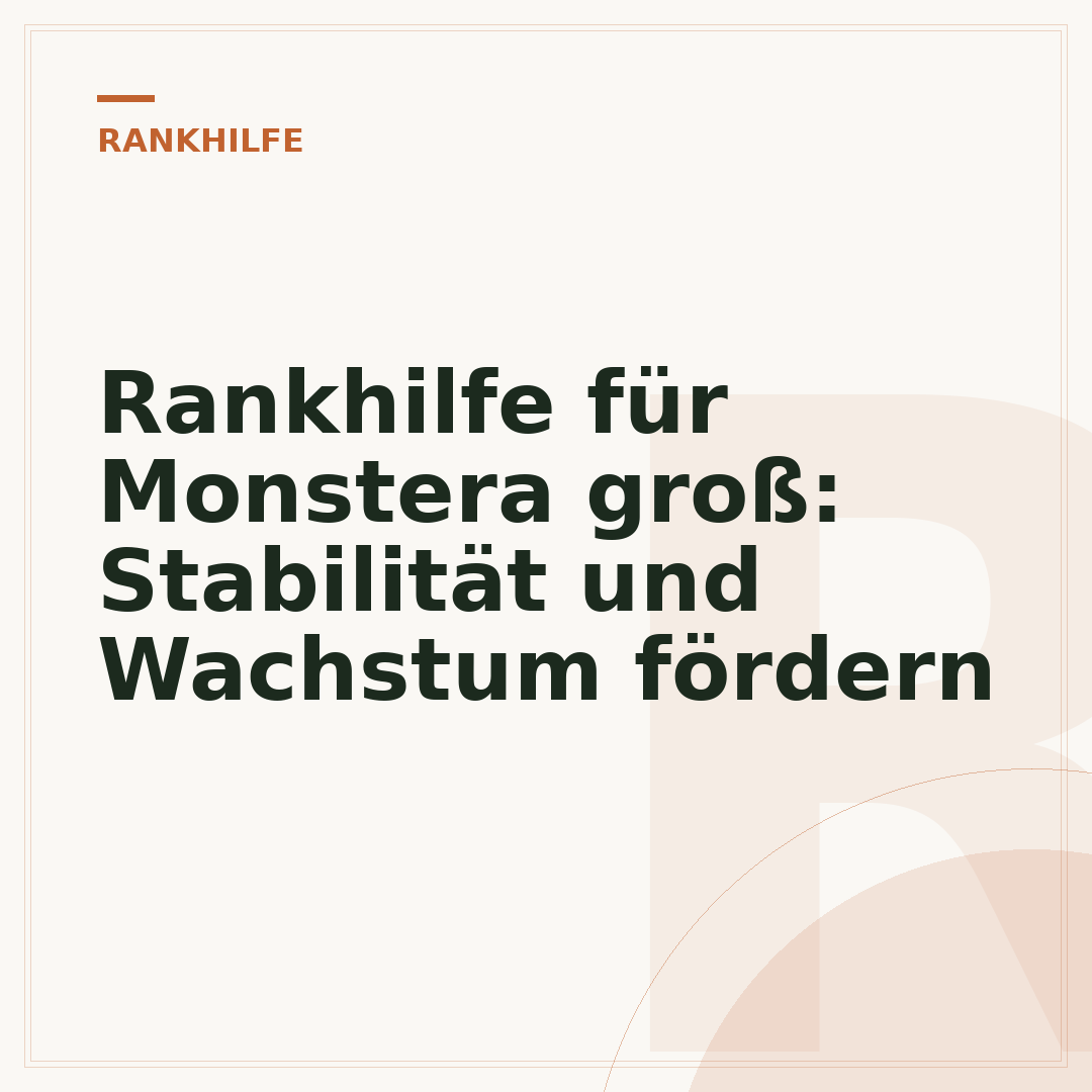 Rankhilfe für Monstera groß: Stabilität und Wachstum fördern