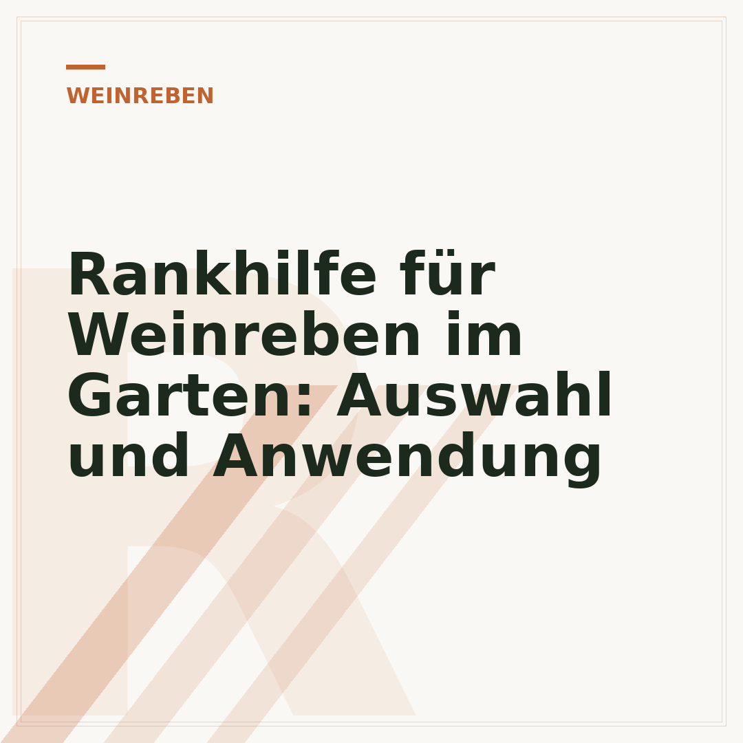 Rankhilfe für Weinreben im Garten: Auswahl und Anwendung