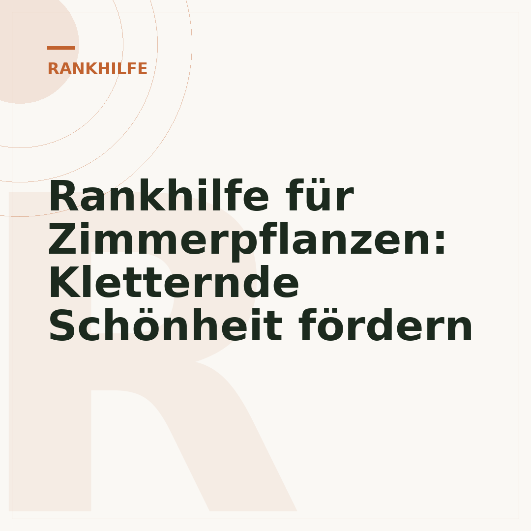 Rankhilfe für Zimmerpflanzen: Kletternde Schönheit fördern
