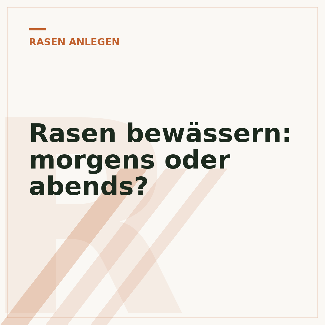 Rasen bewässern: morgens oder abends?