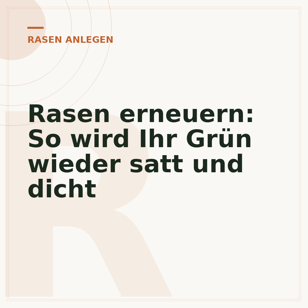 Rasen erneuern: So wird Ihr Grün wieder satt und dicht
