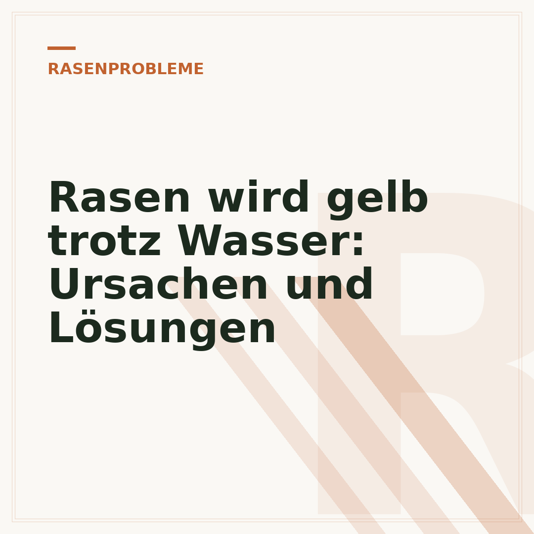 Rasen wird gelb trotz Wasser: Ursachen und Lösungen